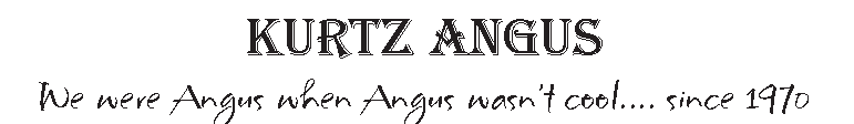 Kurtz Angus